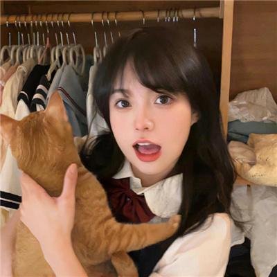 趴兔青春期
