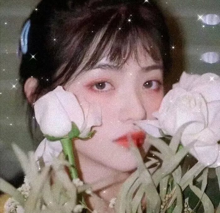 柔伊